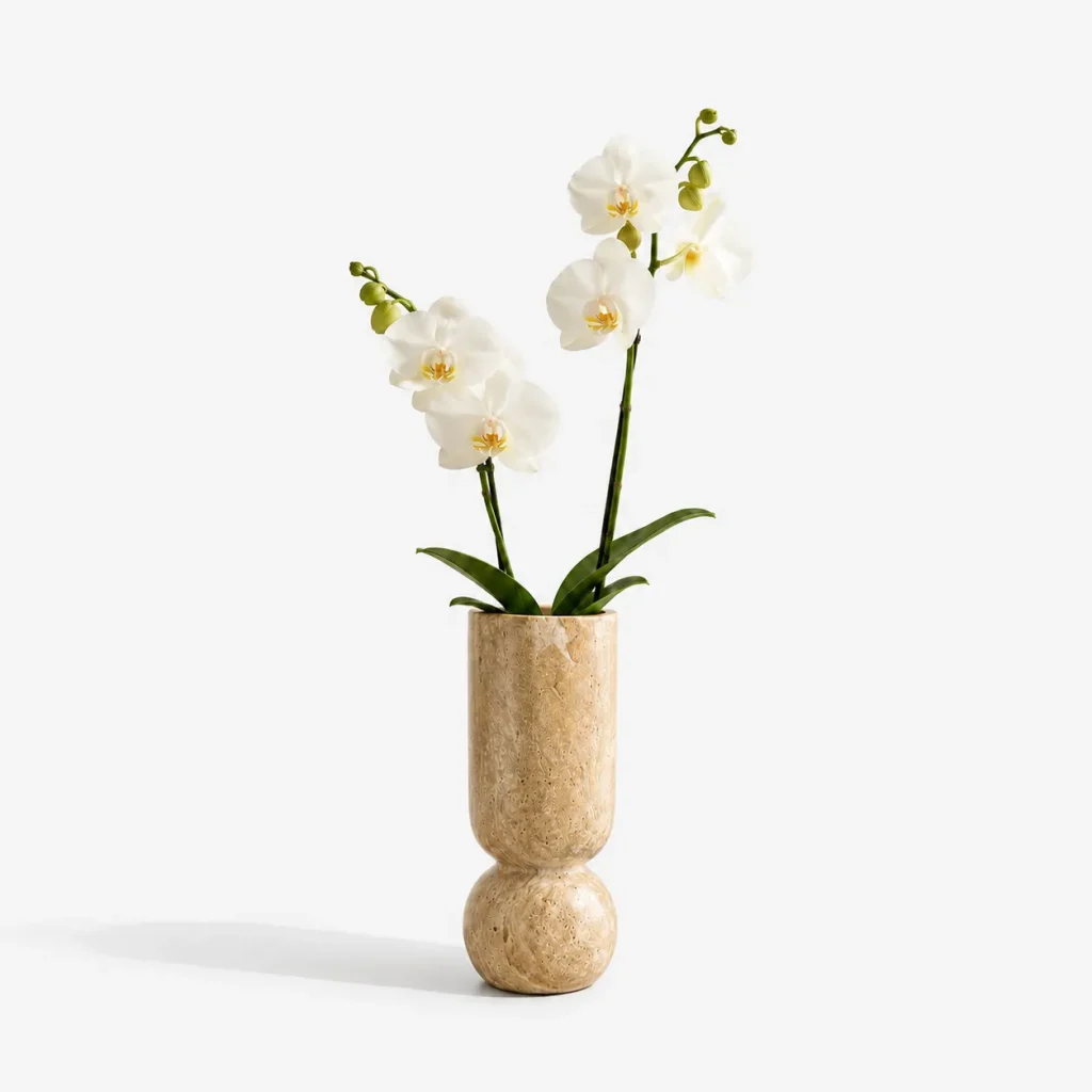 travertine-ball-vase